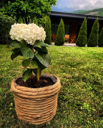 Alexandar studio apartman - Apartment - Mokra Gora