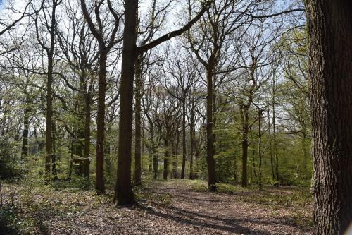 Oakside Lodge - image 12