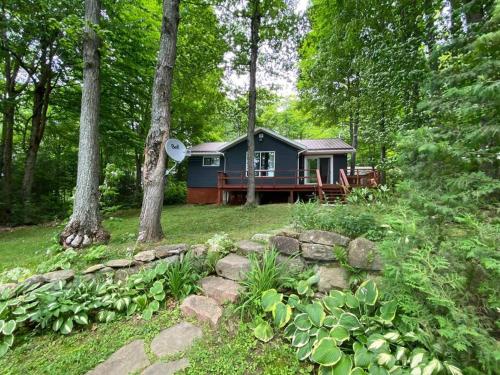 Lakefront Chalet Style Cottage on SalmonTrout Lake