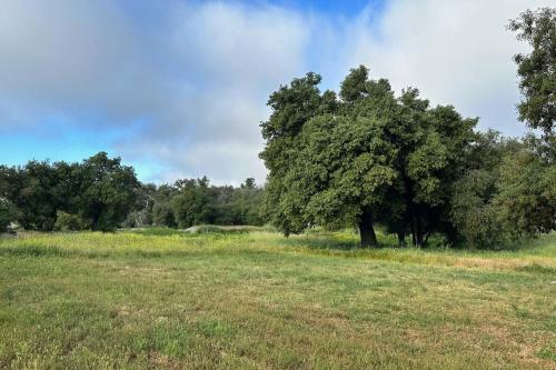 Julian Orchard Ranch in Santa Ysabel, USA