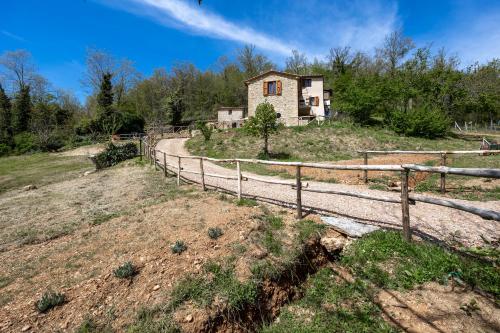 Podere del Ciacchi Among Tuscany Greenery - Happy Rentals