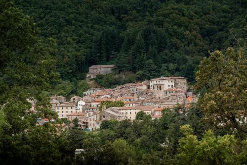 Podere del Ciacchi Among Tuscany Greenery - Happy Rentals