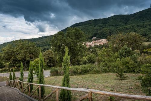 Podere del Ciacchi Among Tuscany Greenery - Happy Rentals