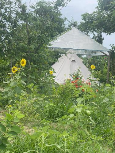 F-Glamping in Ap Cho Dinh