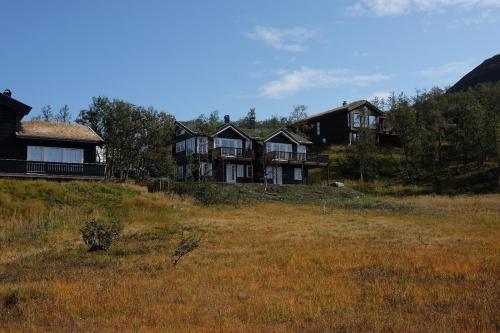 Exterior view, New, Mountain paradise, biking, alpine touring, skiing in & out in Tyinkrysset