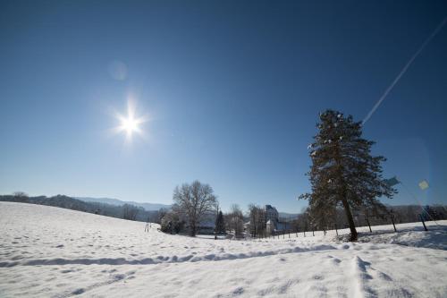 Gasthof Mauthner Zum Kirchenwirt - main image