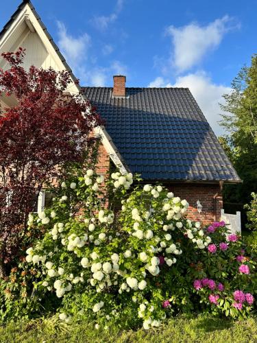 Hotelli välisilme, lóuf (louf) in Wiesmoor