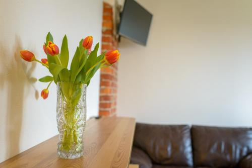 Klaipeda Hostel - image 3
