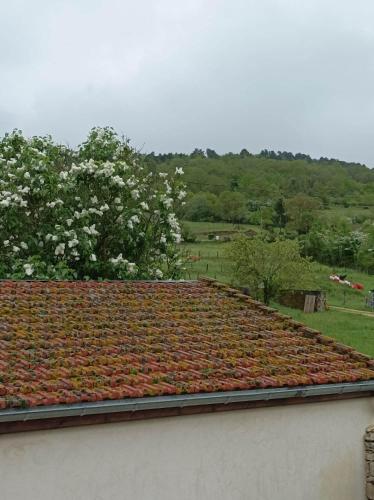 Gîte à la ferme