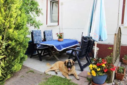 Isabell in Zinnowitz, Deutschland