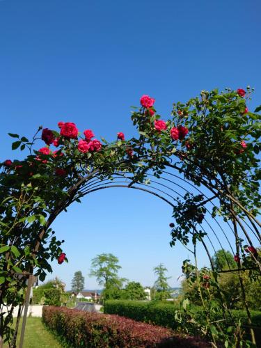  Maison Champperbou, Pension in Haut-Vully bei Avenches