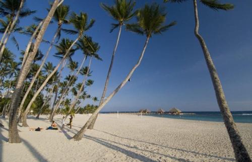 New! Unique Beachfront And Pool View Apartment At Juan Dolio