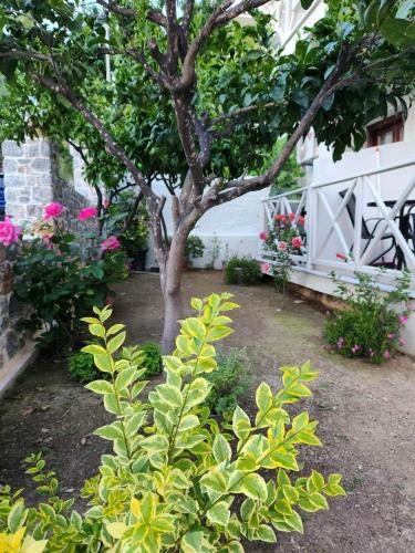  Stavroula's House in Skiathos-Stadt