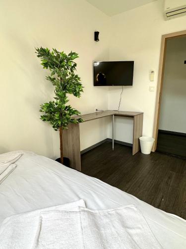 KAPTOL Rooms 5