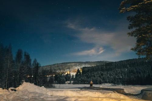 Log Cabin, forrest , sea view, north Sweden.