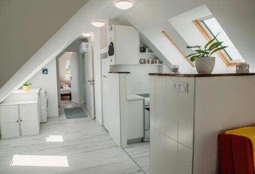 keittiö, Pécs City View- free parking (Pecs City View- free parking) in Szigeti Kulvaros