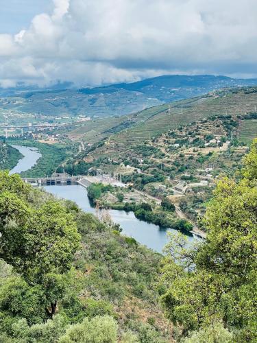 Quinta da Pinguinha - Douro chambre d'hôte Comenda