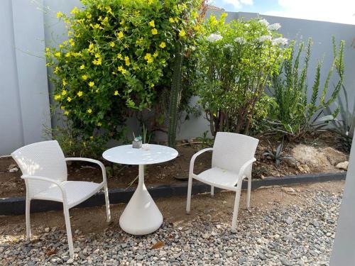 Instalaciones, Palmhouse Apartments Aruba 1- 4 persons in Barcadera