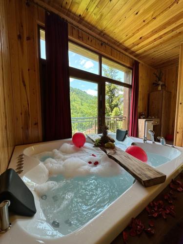 A környék, Vadidekal Suite Hotel in Hoşdere