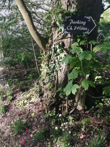 Chambre E André Le Domaine Des Jardins De Bracquetuit