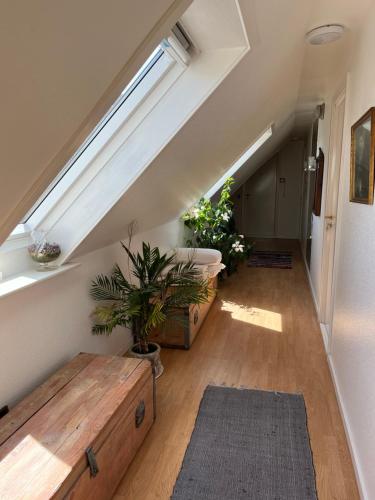 Comoditats, Munkebo B&B, Thy in Thisted