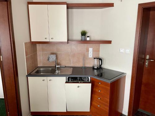 Apartamenty Residence Borkowo