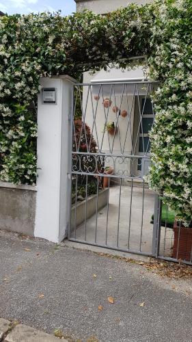  Le Violette in Jesi