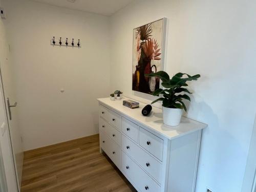 Neue stilvolle 2-Zimmer Wohnung im Zentrum von Wolfsburg