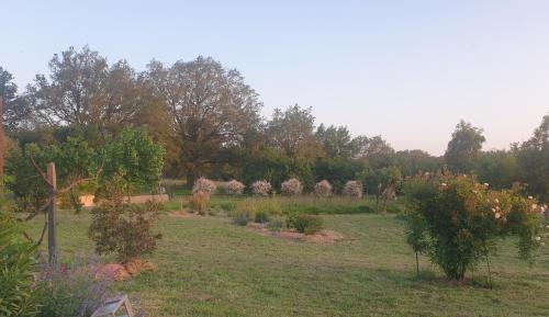 Gîte à la campagne proche d'Angers et de la Loire