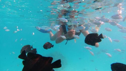 Jerrys Dive Lodge Rasdhoo