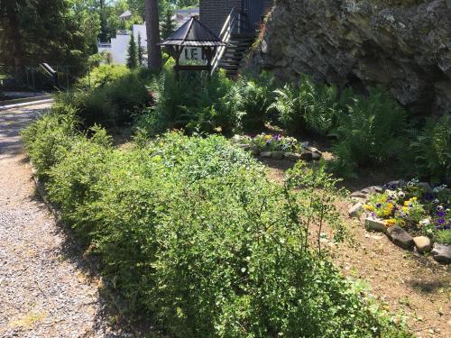 Studio 12, Han-sur-Lesse (foto 8)