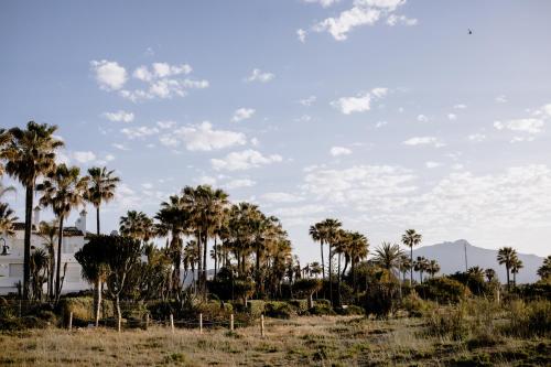 THE FLAG HOTEL Marbella, Estepona Adult Recommended