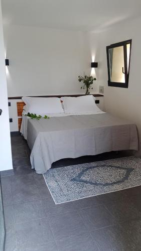 room 8 - Accommodation - Campagnatico