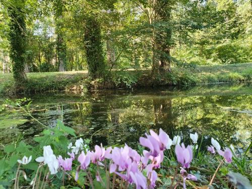 Gite La Suite Ducale Chateau La Roche Racan in Saint-Paterne-Racan