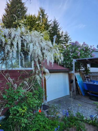 Surrey chic 2 bdrm basement unit