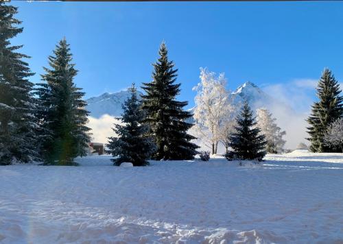 Mon nid montagnard au soleil Les Deux Alpes