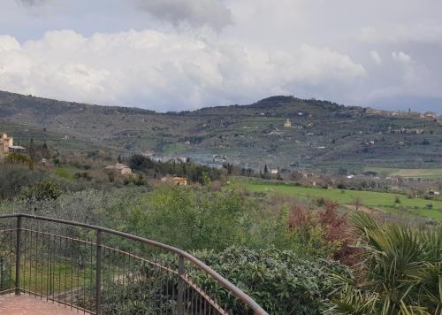 Omgivelser, B&B Il Mandorlo in Cegliolo