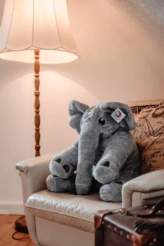 Olifant in Osterode in Osterode, Deutschland