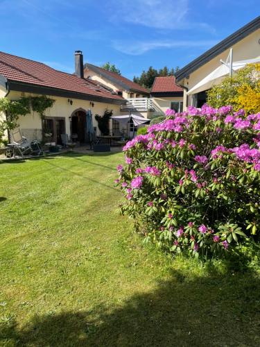 Chambres d’hôtes plateau des mille étangs chambre d'hôte Fresse