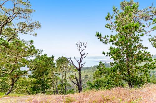 Carmel Highlands Home