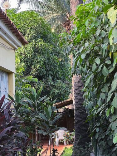 Garden, Casa Cacheu Homestay in Bissau