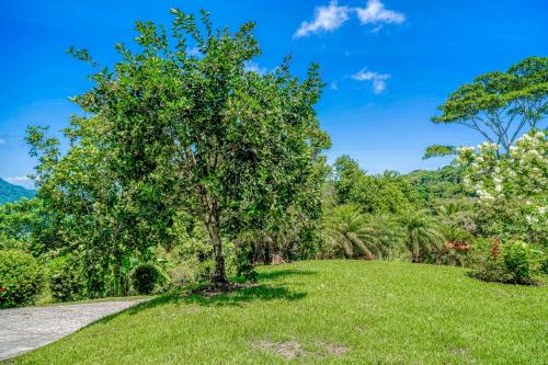 Casa Garrobo Casa Garrobo