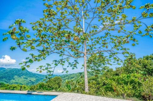 Casa Garrobo Casa Garrobo