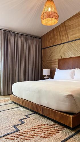 Calistoga Motor Lodge and Spa - image 9