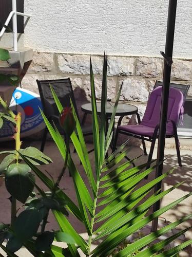  Rooms Branka in Barbat na Rabu