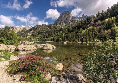 Paraíso alpino en el Pirineo: descansa y disfruta (Paraiso alpino en el Pirineo: descansa y disfruta) in Son Del Pi