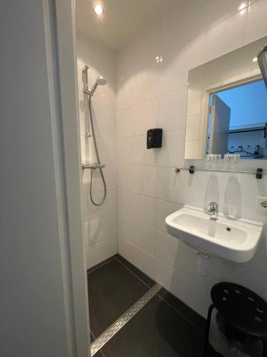 Budget Hotel Hortus - image 14