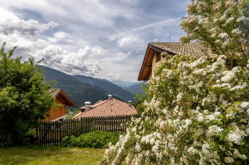 Ferienhaus Winkler