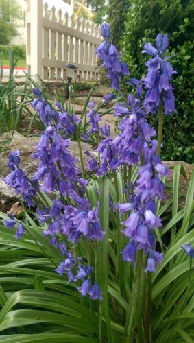 5 Ojo Inn Bed and Breakfast 5 Ojo Inn Bed and Breakfast