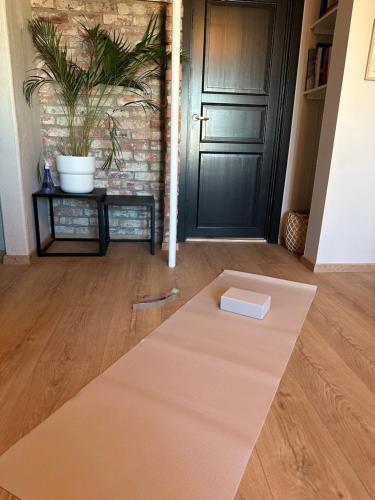 Nice apartment close to the sea with parking and garden Nice apartment close to the sea with parking and garden